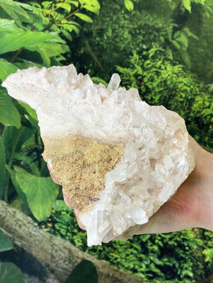 Bergkristall Stufe groß auf Sandstein - magische Kristalle 1 SanjaNatur® - Edelsteine & Coaching